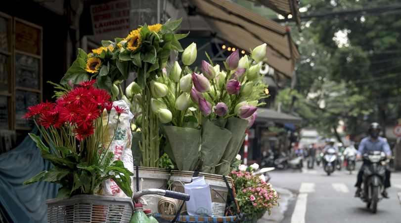 Qué Regalar en Primavera, Verano, Otoño e Invierno