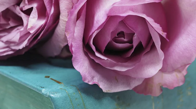 Cómo Cuidar tus Flores Recibidas para que Duren Más Tiempo